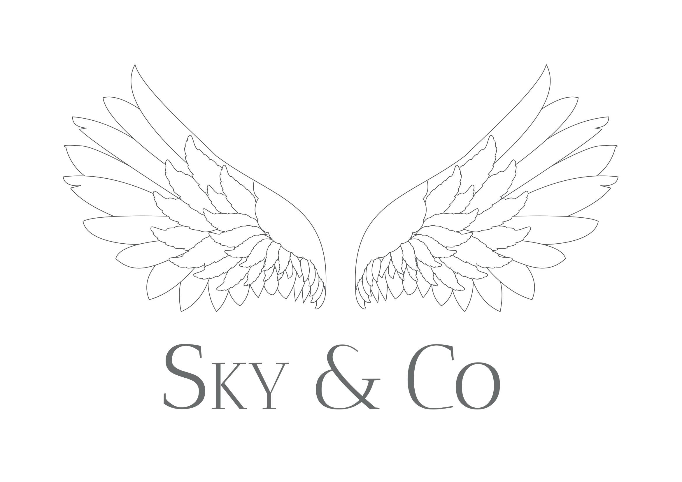old.skyandco.pl